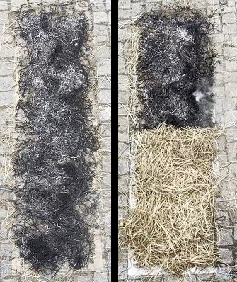 Ensaio em palha após o teste de fogo. À esquerda, palha tratada só com água: ardeu por completo. À direita, só a metade de baixo foi tratada com Sallus Fire Retardant: a metade de cima, sem produto, ardeu, e o fogo parou ao chegar à zona tratada.