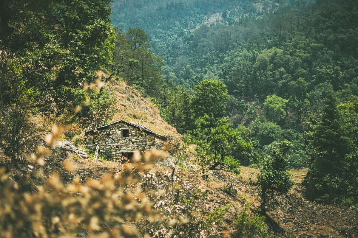 Maison rurale en pierre entourée d'une forêt dense sur un versant montagneux